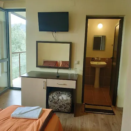 Guest house сиана