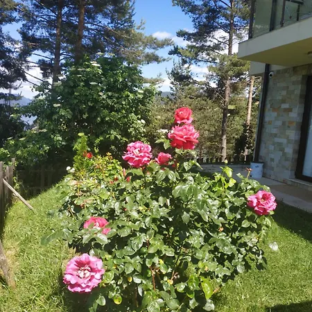 сиана Guest house *