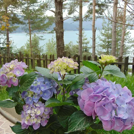 сиана Guest house Dospat