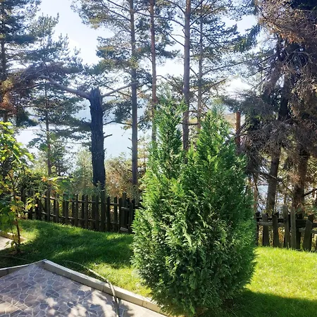 сиана Guest house