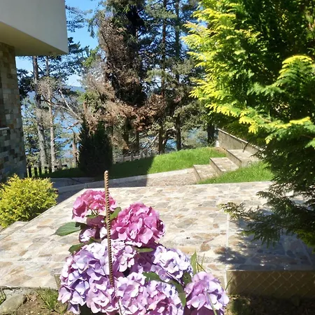сиана Guest house *