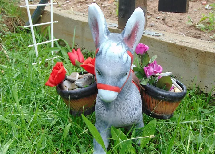 сиана בית הארחה *