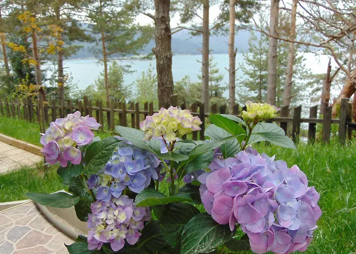 сиана בית הארחה דוספאט