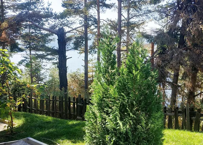 сиана בית הארחה