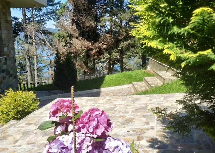 сиана בית הארחה *